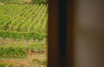 Maison Rebleuthof Sauna & Fitness - Foto 46