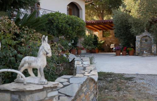 Apartment Viewing Garden - Foto 44