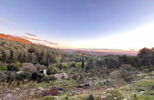 Aix-en-Provence, Bastidon provençal plein cœur de la forêt avec vue unique - Foto 6