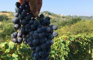 Castello di Grillano Guest House - Foto 51