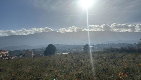 AT Las Viñuelas 17 - Photo 3