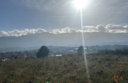 AT Las Viñuelas 17 - Photo 3