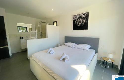 Architect's Villa - 10-12 people - Pool - 4 bedrooms - Foto 5