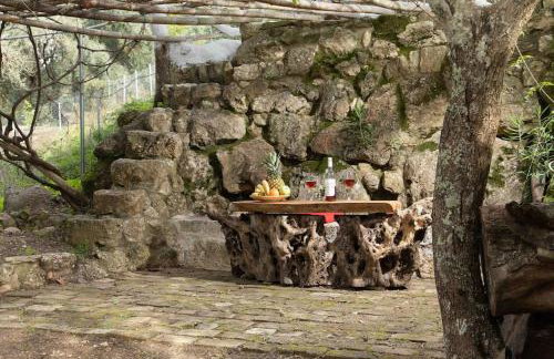 Margaritis's Treehouse - Foto 25