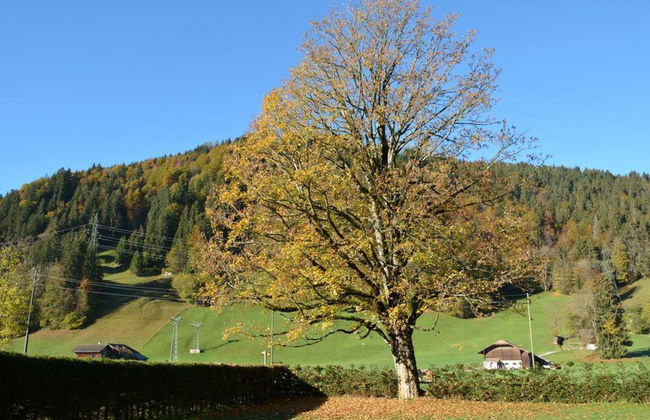 Oberland Nr. 3 - Foto 3