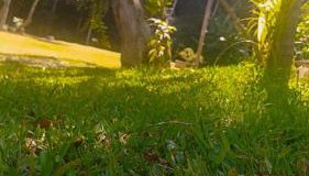 Recanto da Floresta - Foto 5