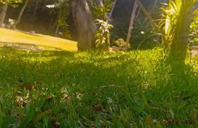 Recanto da Floresta - Photo 5