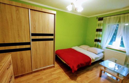 Bieszczadzkie domki z widokiem 793-903-243 - Foto 25