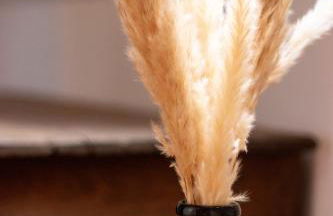 Le Grand Ker - Gîte de Charme - Photo 30