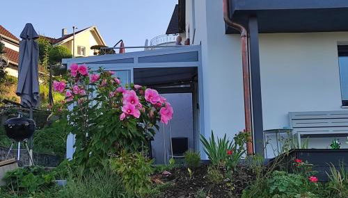 FERIENWOHNUNG TRAUMBLICK - Familienfreundlich - Handwerker willkommen - Foto 3