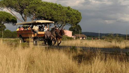 Bio Agriturismo Le Giunchiglie - Foto 4