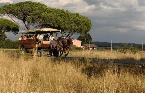 Bio Agriturismo Le Giunchiglie - Foto 4