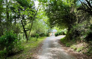 Parenthèse en Forêt - Gîte Baliveau, Sidobre - Photo 26