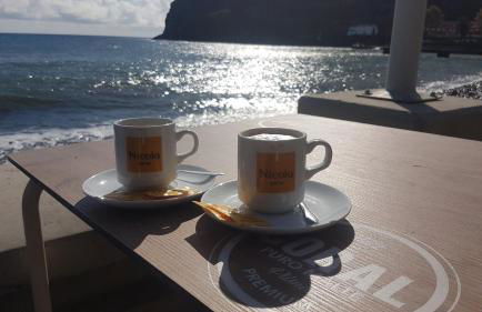 Machico Oasis - Mountainview - Photo 29