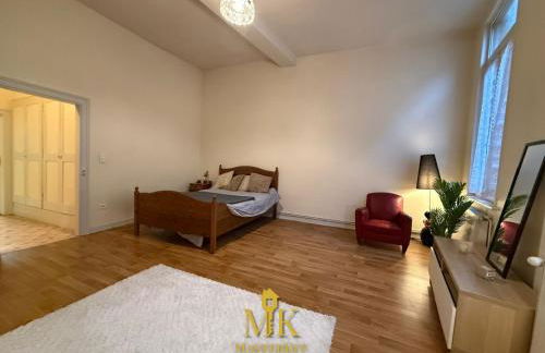 T2 Chic & Lumineux Bar-le-Duc Centre-Ville - Foto 15