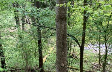 Dobrostan Domek w Naturze - Foto 48