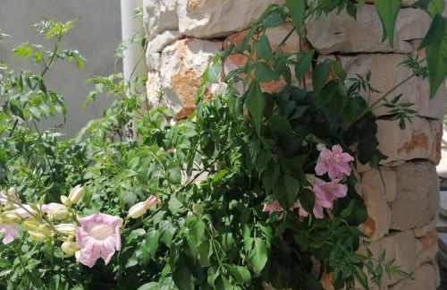 Civico57 Torre Suda - Foto 12