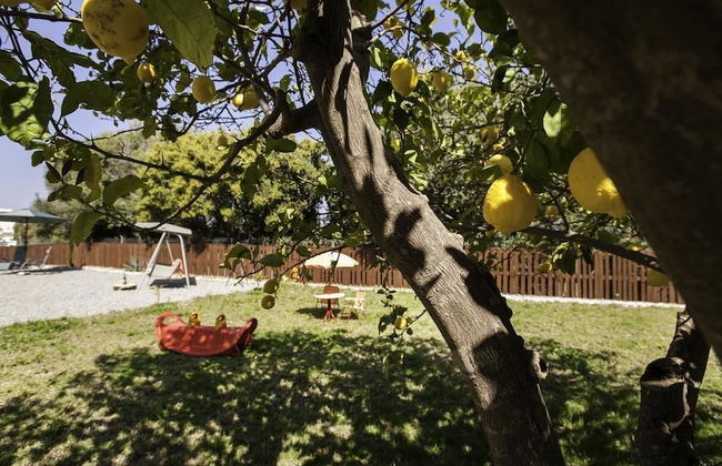 Laugh & Life House - Foto 17