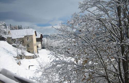 Agriturismo Grones - Photo 14