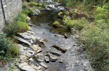 Llanidloes Townhouse-pet-friendly-sleeps 7-Mid Wales - Foto 45
