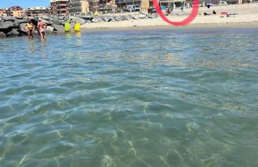 casa dell'artista - Photo 34