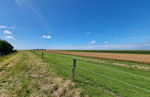 Ferienhaus Im Hasengrund - Foto 32