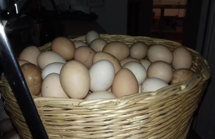 Agriturismo Le oche selvatiche - Foto 38