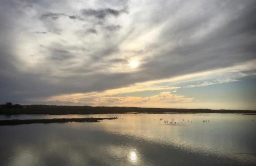 Victory Village Sea Views - Foto 29