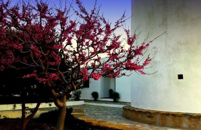 Windmill Complex - Photo 26