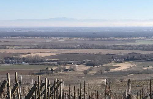 TheGuthPlace - Foto 30