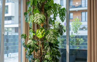 Premium Apartment Eleven - Foto 12