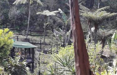 Cabana aconchegante na natureza - Foto 44