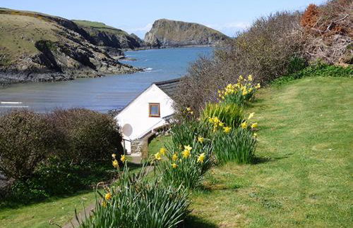 Doves Cottage - Photo 11