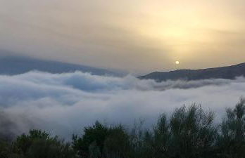 Cortijo La Vista - Foto 17