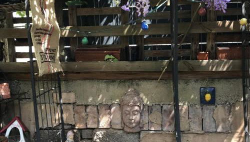 Kamoro - Photo 4, Garden