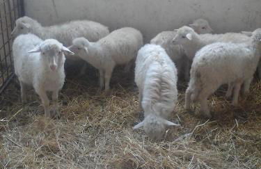 Vistamare - Photo 75