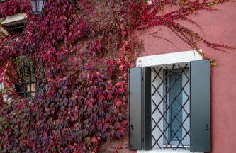 Relais Barchessa Molon - Foto 20