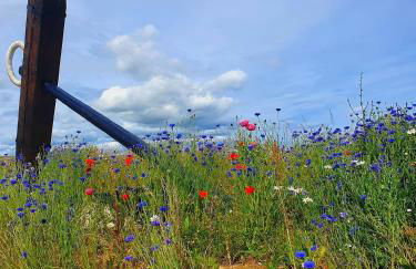 Moray View, Macduff, Aberdeenshire. - Foto 42