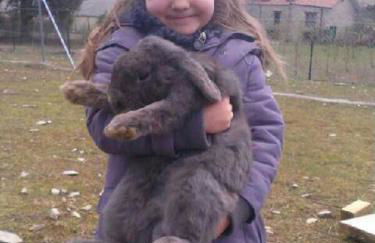 La Granja De Vitoria - Foto 9