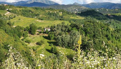 Agriturismo Il Burlino Apartments - Foto 2