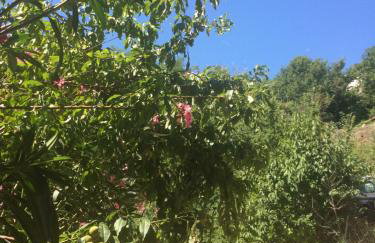 Toni i Kristina - Photo 70