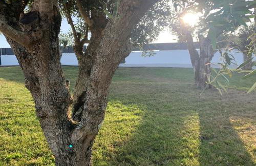 Casa com Alma - Foto 14