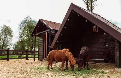 Kraina Poraj - Foto 63