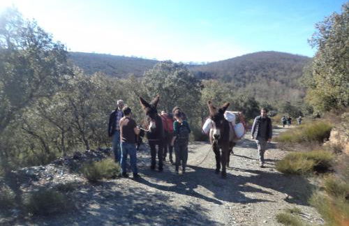 Apimonte Casa do Pascoal - PN Montesinho - Foto 56