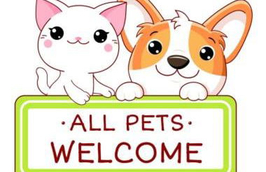 CASA DA VOVÓ CÉU - Casa de Campo Gandaresa - Country House, entre COIMBRA e AVEIRO, a 15 minutos carro Praia Mira - Quintal com piscina insuflável - Foto 17