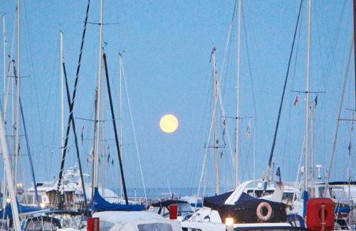 4 person holiday home in GROEMITZ - Photo 10