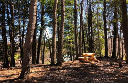 Newton Village 1A - Foto 31