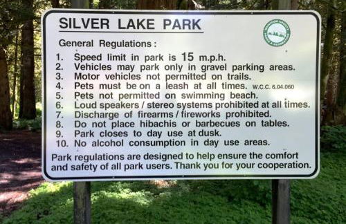 Silver Lake #67 - Foto 53