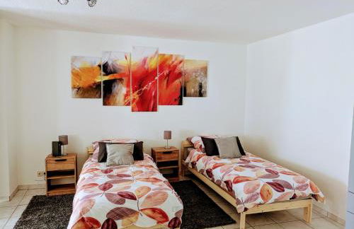 Helle und geräumige Ferien- und Monteurwohnung nur für Sie allein AUjvari Vermietungen - Foto 13