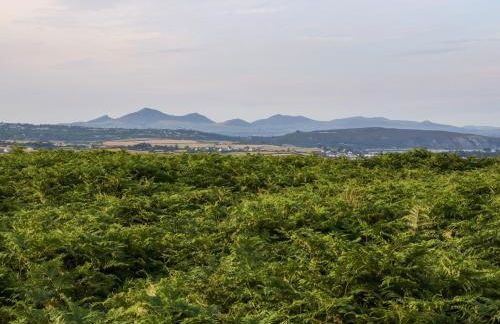 Sunstone Garreg Haul - Photo 27